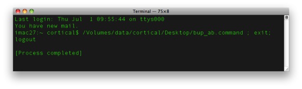 terminal result exected .command shell